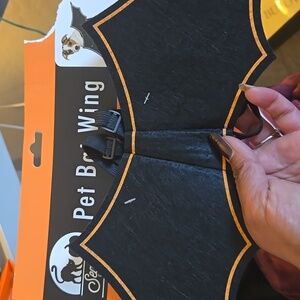 Small Pet Bat wings